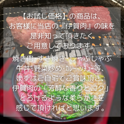 otameshisetsumei.png